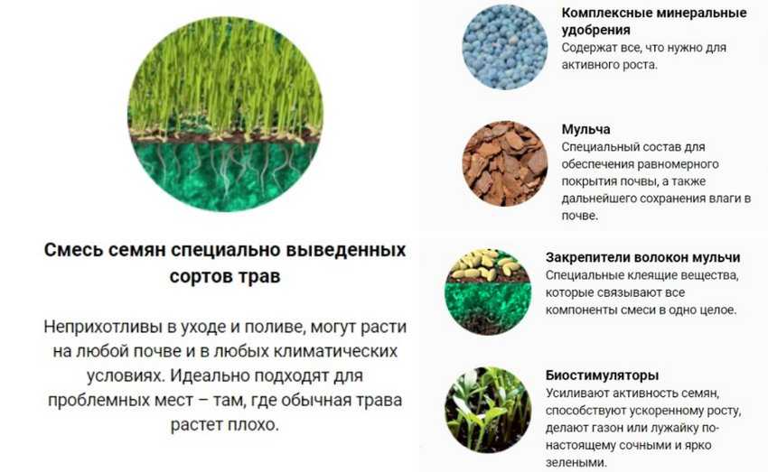О гидропосеве газона своими руками: описание, технология посадки, инструкция