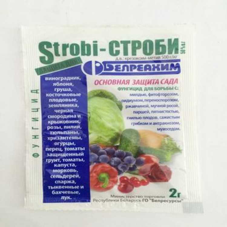 Фунгицид строби для винограда и огорода: инструкция по применению и отзывы
