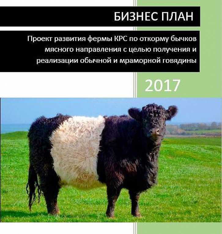 Порода быков абердин-ангус (блэк-ангус): информация и характеристики