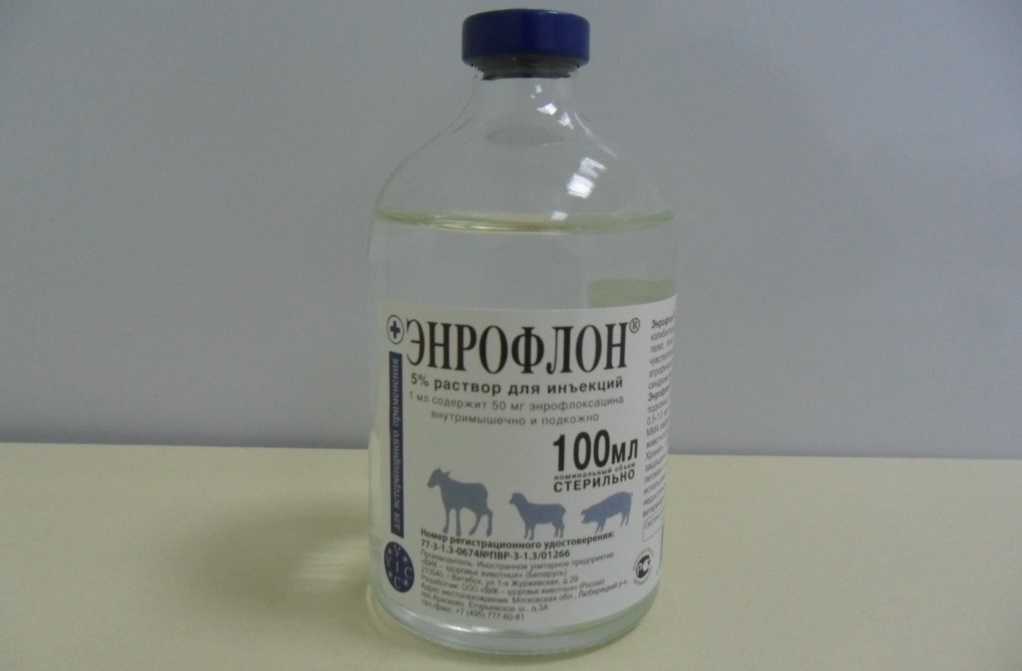 Энрофлон для птиц: инструкция по применению антибиотика