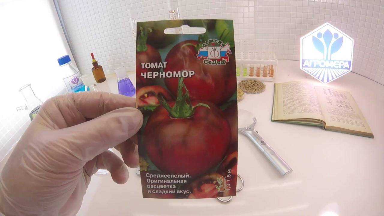 Томат черномор: описание и характеристики сорта, фото, правила выращивания, отзывы