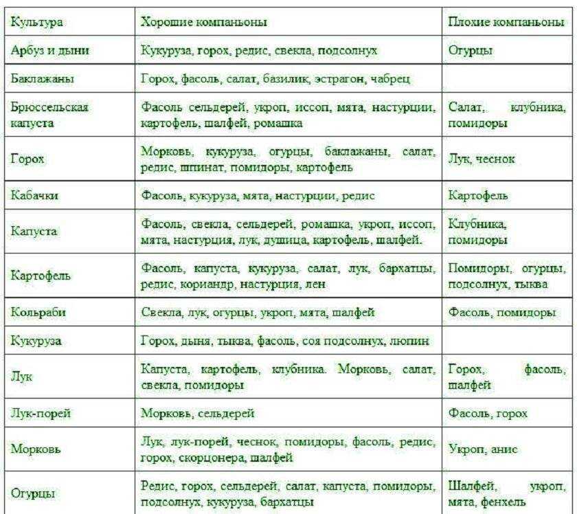 Совмещенные посевы. что с чем сажать. огород по-русски. мало сажаем, много собираем