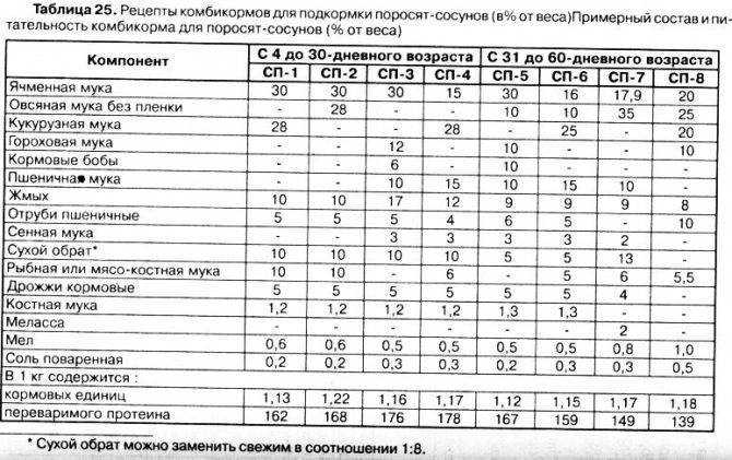 Как содержать поросят в домашних условиях