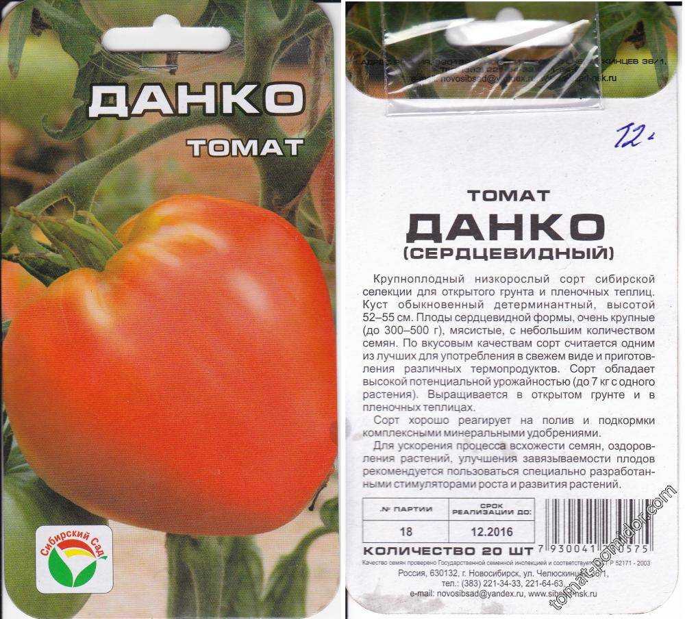Помидоры данко: описание сорта, фото, отзывы