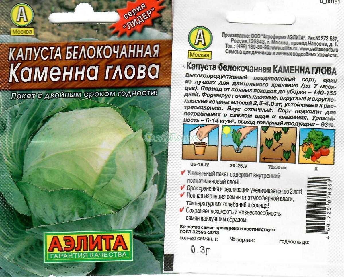 Капуста каменная голова: описание и характеристика сорта