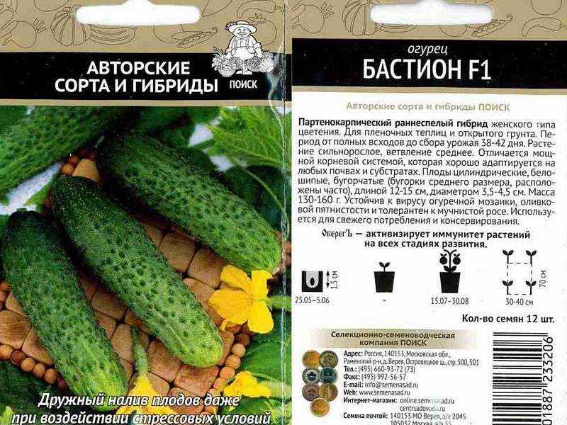 Огурец лютояр f1: технология выращивания, урожайность