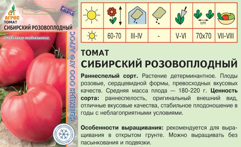 Томат «абаканский розовый»: неприхотлив и устойчив к неблагоприятным погодным условиям