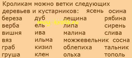 Какие ветки можно давать кроликам: польза и вред, технология заготовки