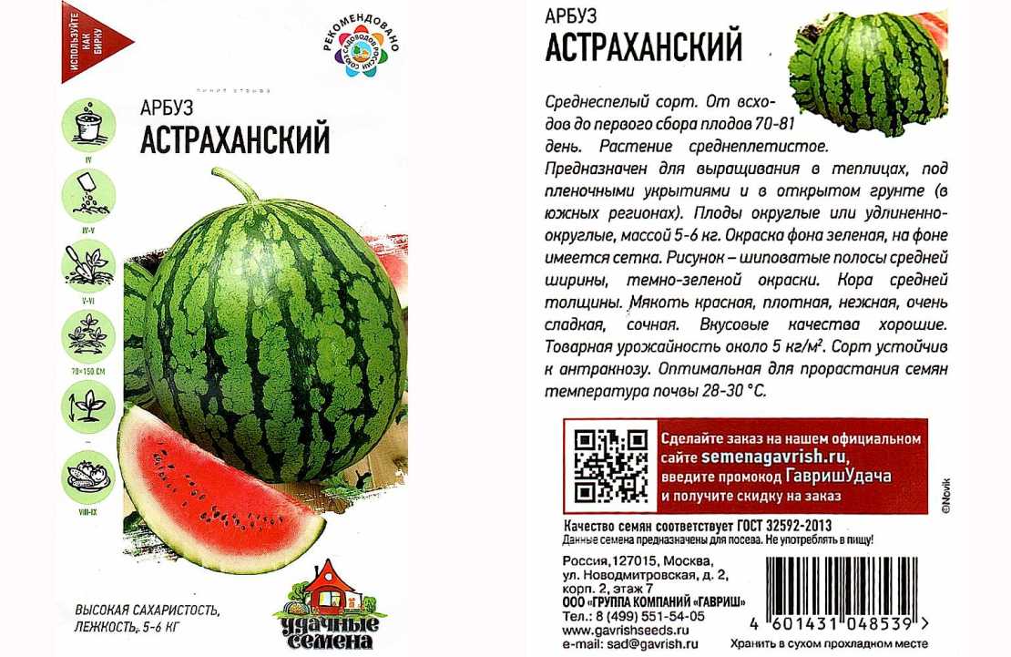 Все об арбузе Астраханском: агротехника, описание сорта, выращивание