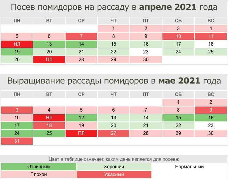 Когда и как пикировать рассаду томатов: сроки, правила и пошаговые инструкции