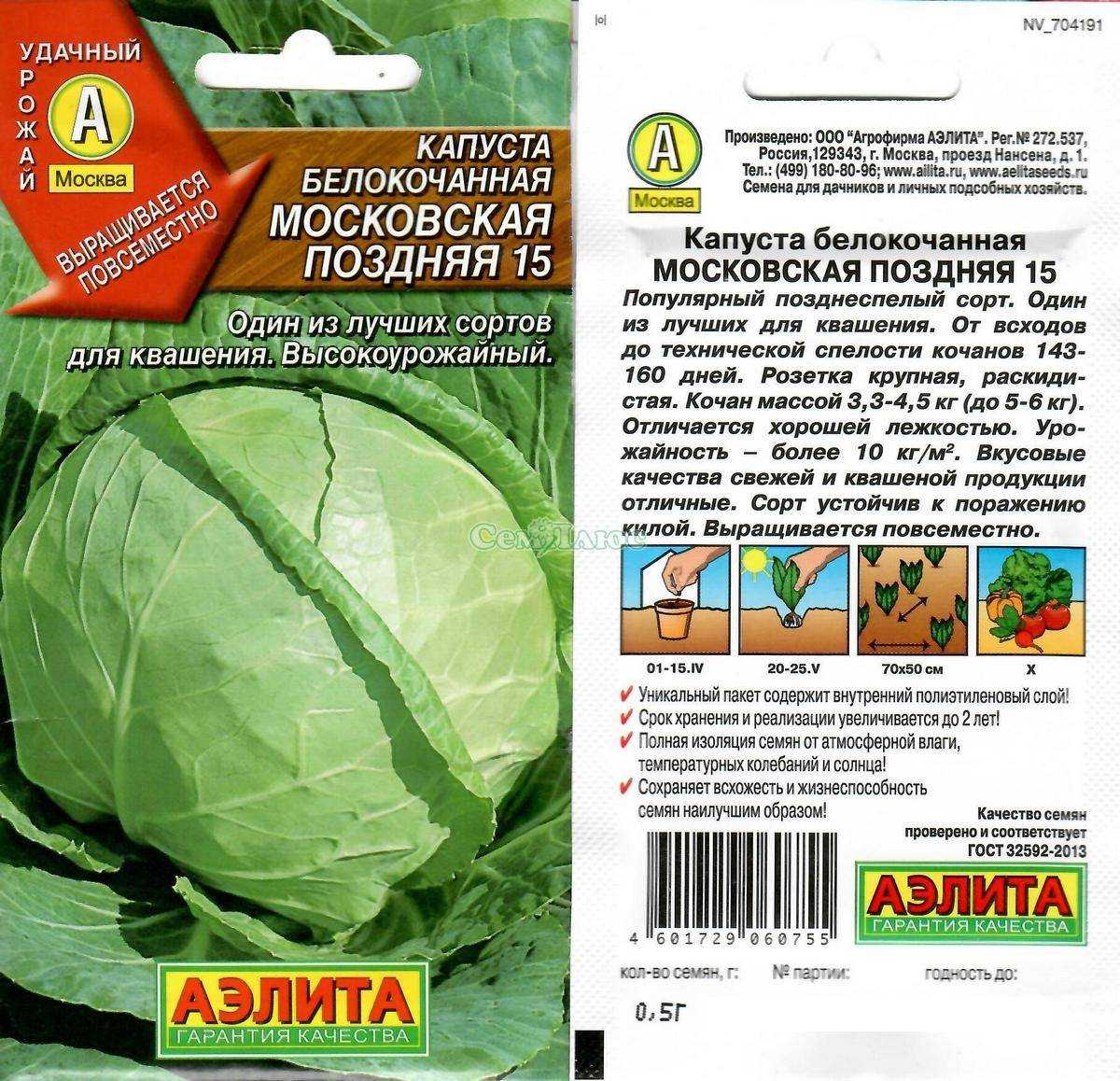Капуста московская поздняя: описание и особенности, сроки посадки, выращивание