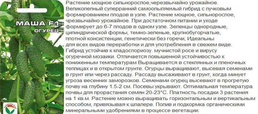 Что такое партенокарпический сорт огурцов: история, свойства, особенности агротехники + 15 лучших разновидностей гибрида
