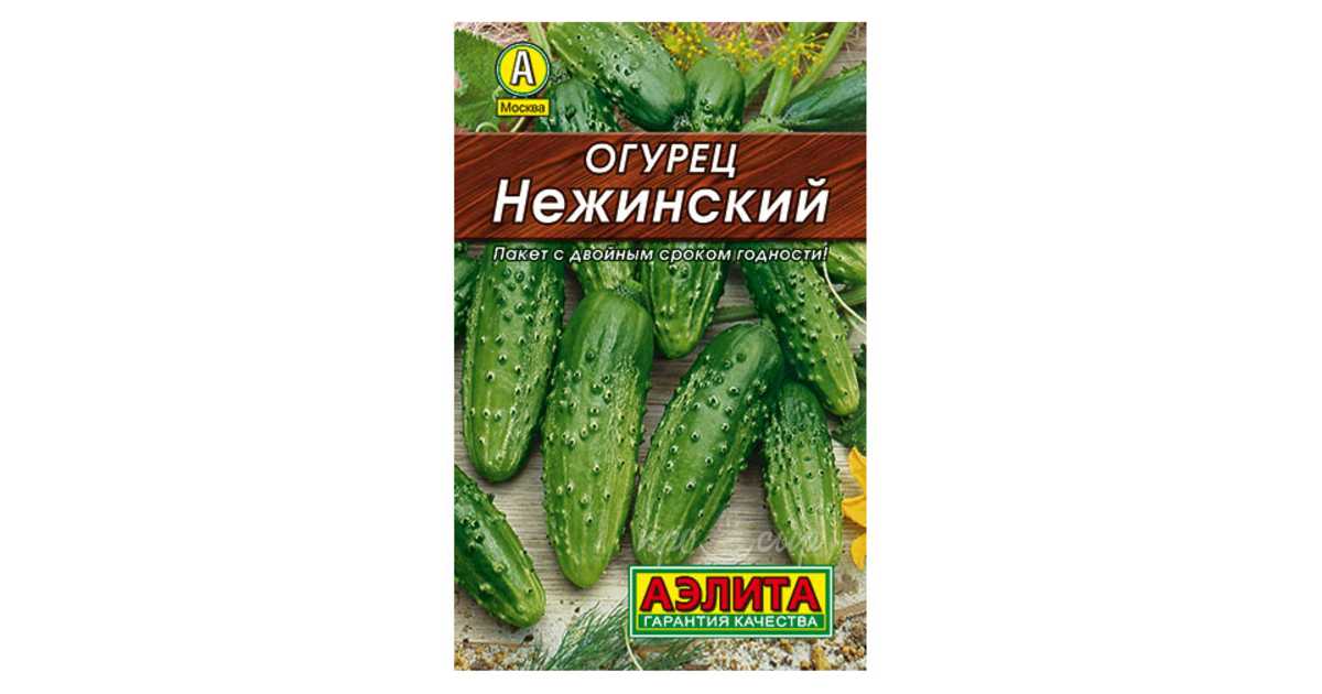 Огурец нежинский: отзывы, описание сорта, фото, характеристика