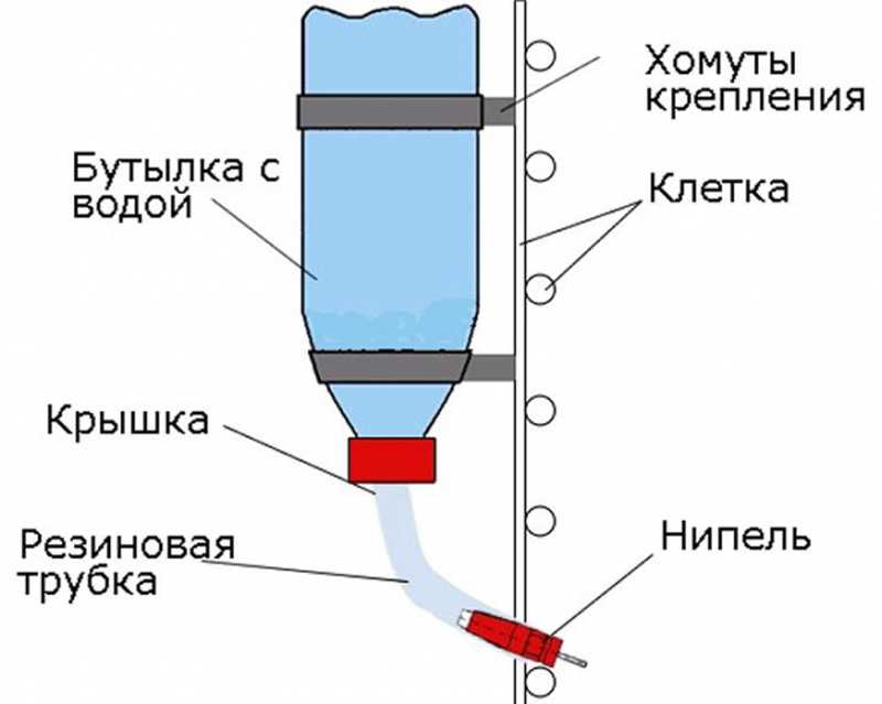 Поилка для кроликов своими руками из пластиковых бутылок. инструкция изготовления вакуумной автопоилки для декоративного питомца в домашних условиях