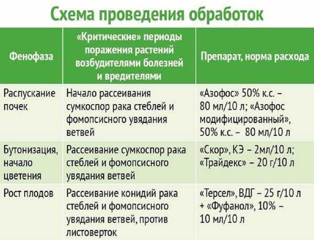 Чем обработать сад ранней весной: народные методы и химические средства