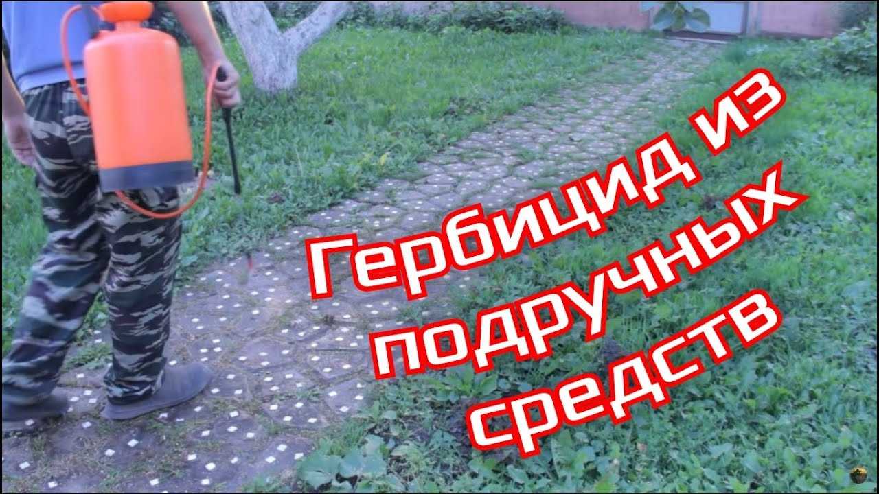 Средства от сорняков: 12 лучших способов для уничтожения ненавистной травы навсегда