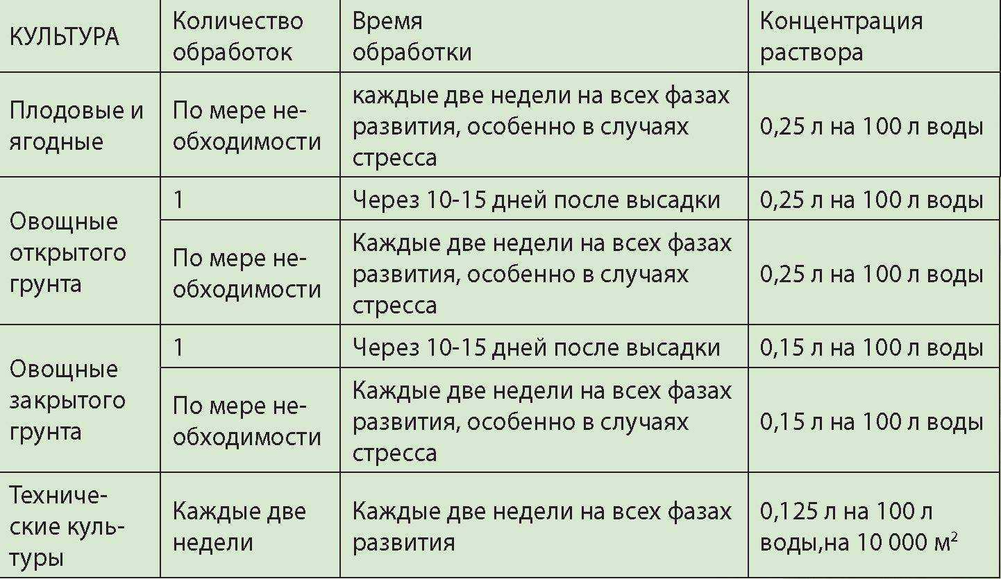 Как часто поливать капусту в открытом грунте?