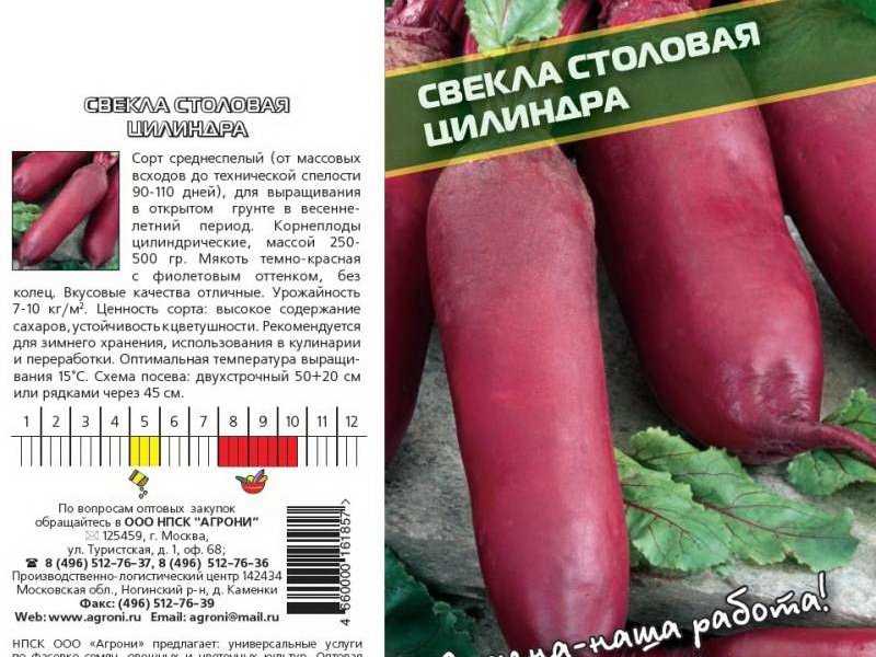 Лучшие сорта свеклы, топ-10 рейтинг хорошей свеклы