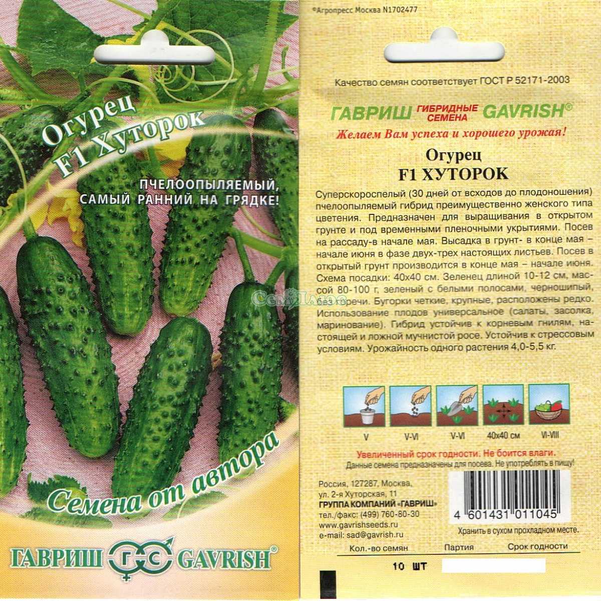 Сорт огурца форсаж (f1): фото, отзывы, описание, характеристики.