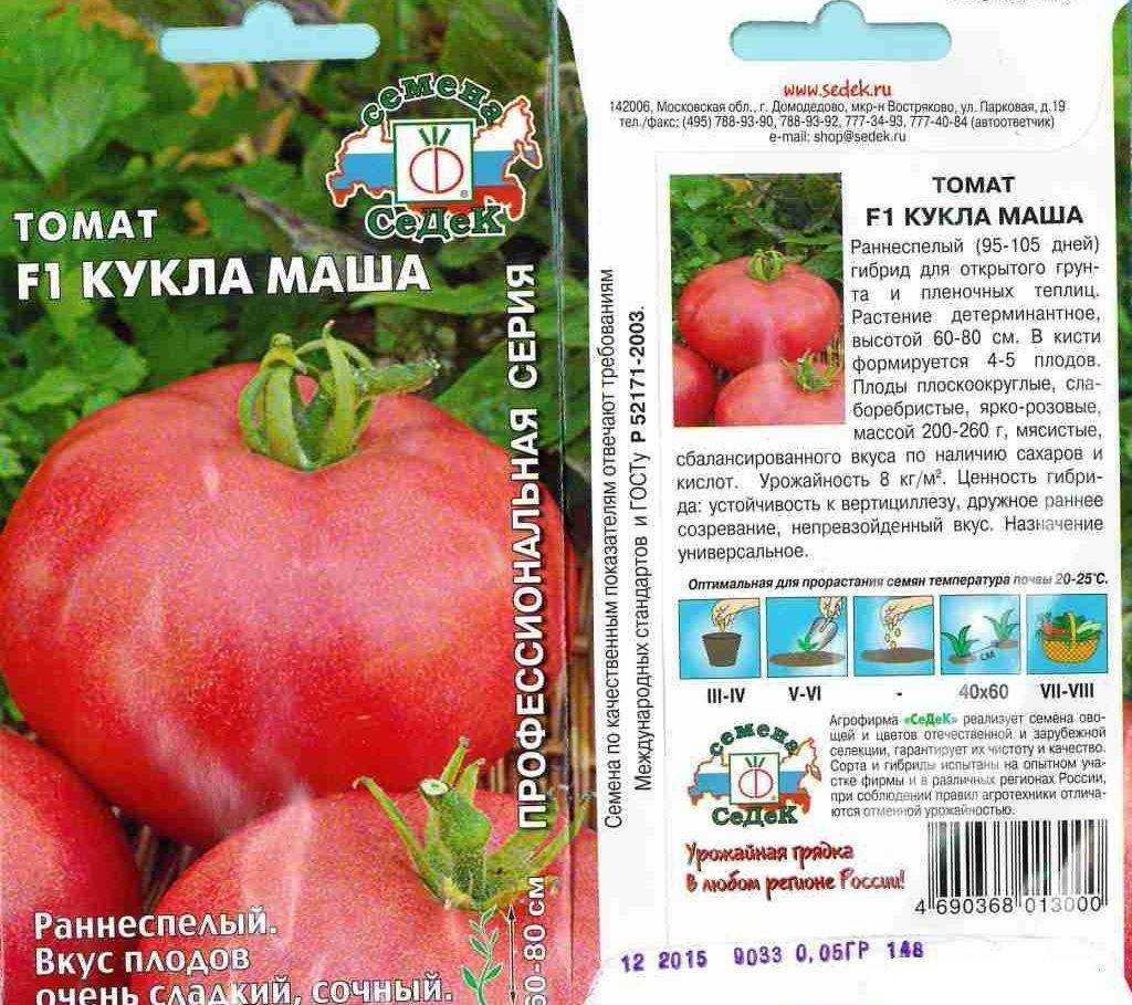 Кукла Маша: описание сорта томата, характеристики помидоров, выращивание