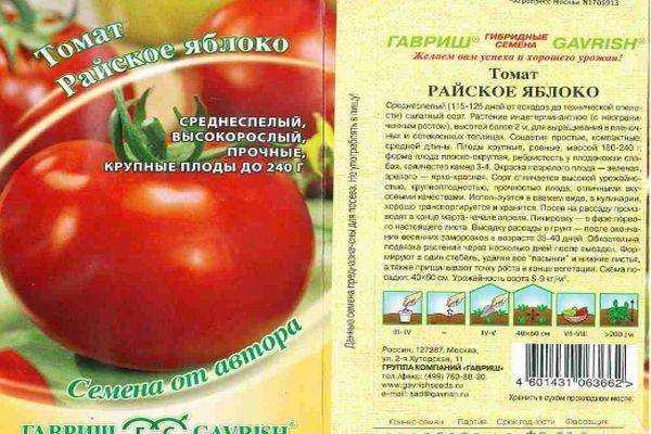 Томат яблочный спас: отзывы, фото, урожайность, описание и характеристика