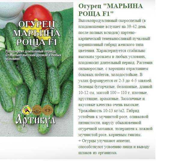 Огурец марьина роща f1 - описание и характеристика сорта