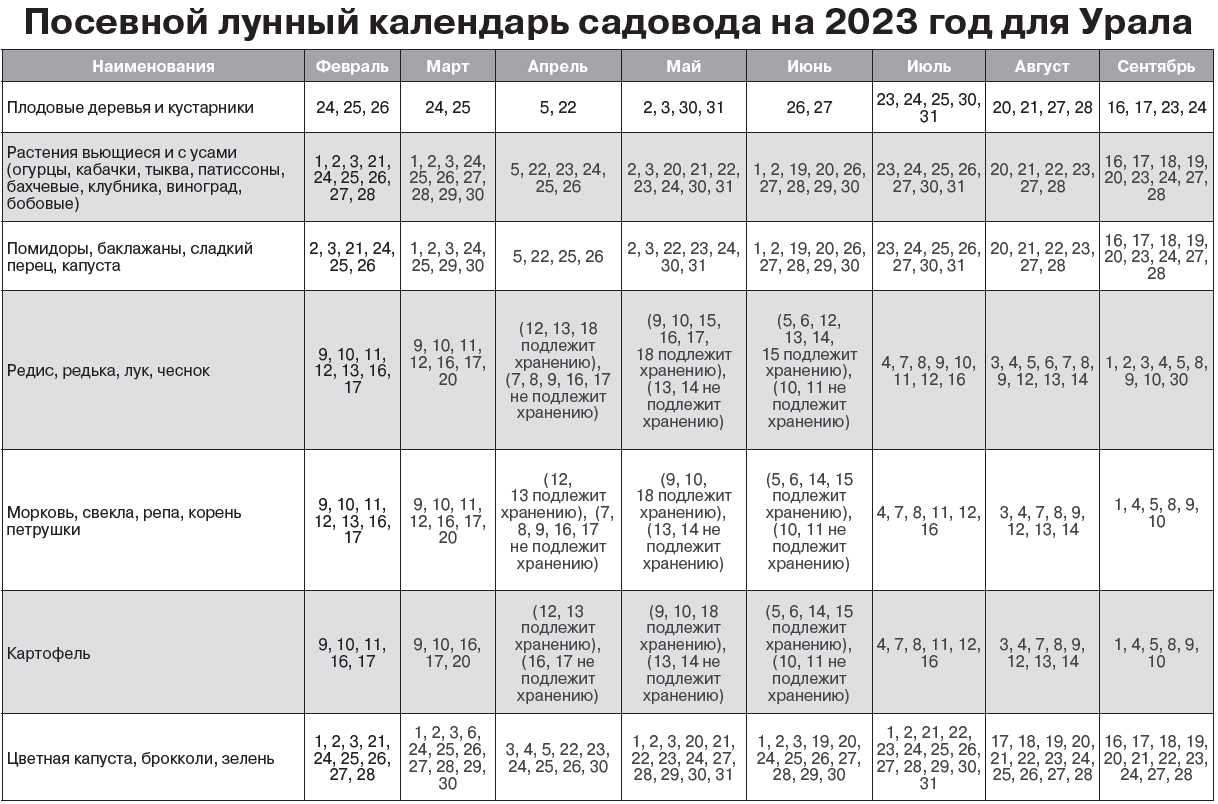 Как сажать огурцы в грунт семенами. 9 важных правил!