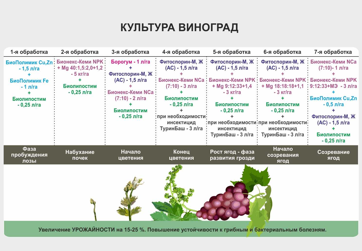 Яблоня юный натуралист: описание сорта и регионы выращивания, зимостойкость с фото