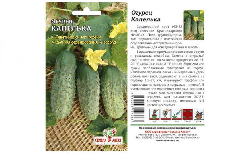 Лучшие сорта огурцов на 2023 год для теплиц подмосковья: самые урожайные сорта, их наименование и описания
