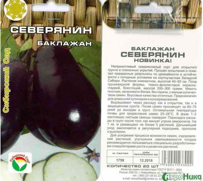 Баклажан вера: характеристика и описание сорта, его плюсы и минусы, нюансы выращивания