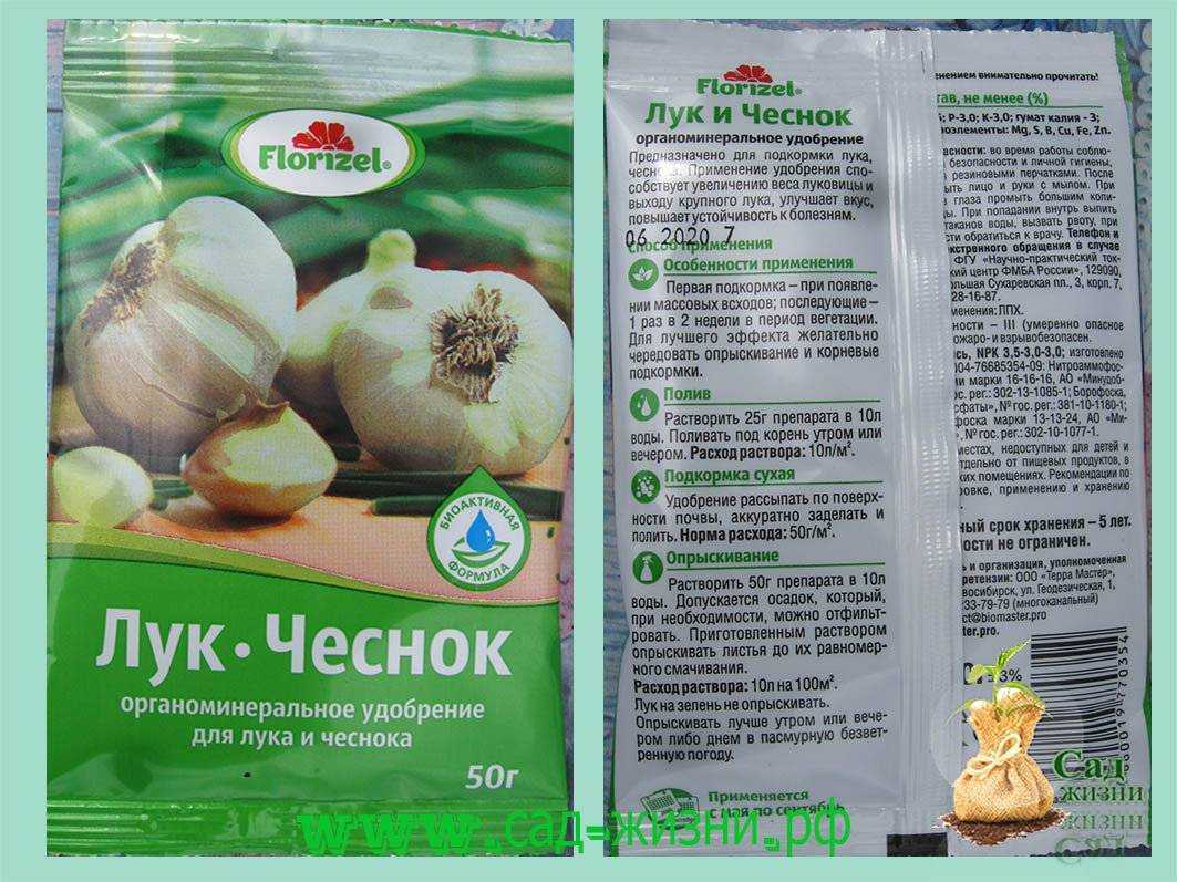 Уход весной за озимым луком: основные правила selo.guru — интернет портал о сельском хозяйстве
