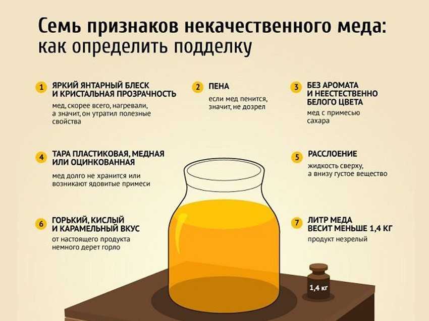 Гречишный мед: полезные свойства и противопоказания для организма человека