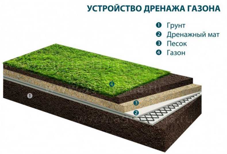 Газон на даче своими руками: как сделать придомовую территорию красивой