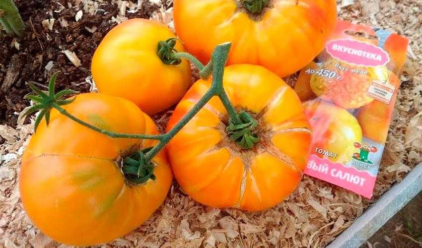 Томат медовый салют: описание, отзывы, фото, урожайность