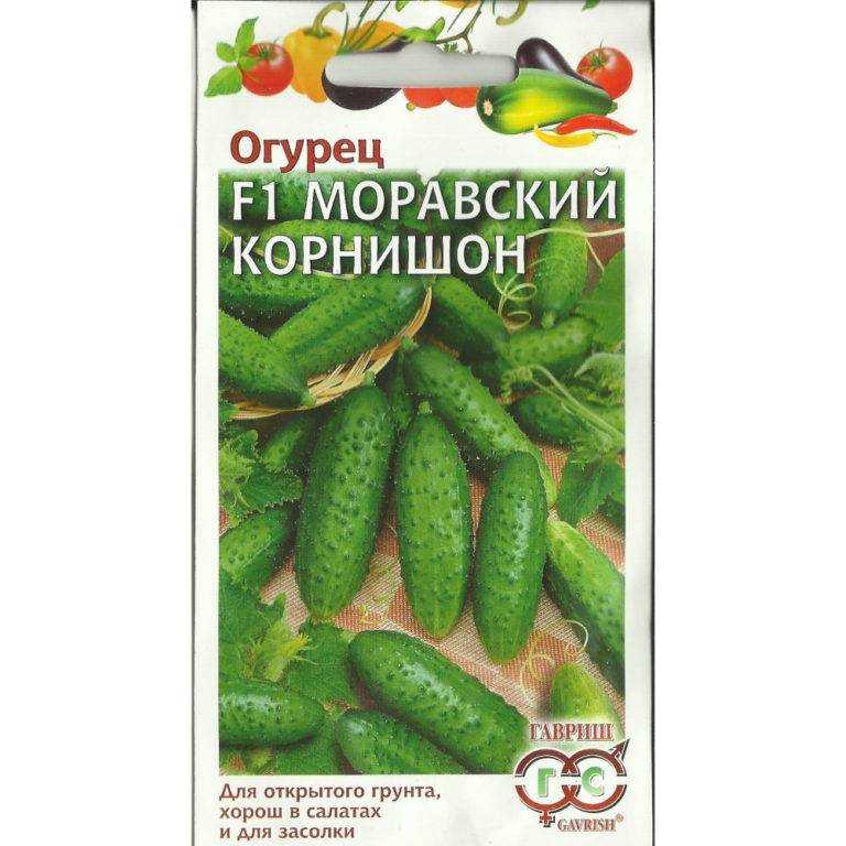 В моде кустовые огурцы: как выбрать сорта и вырастить