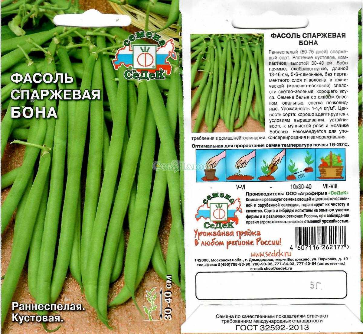 Сорта фасоли с фото и названиями