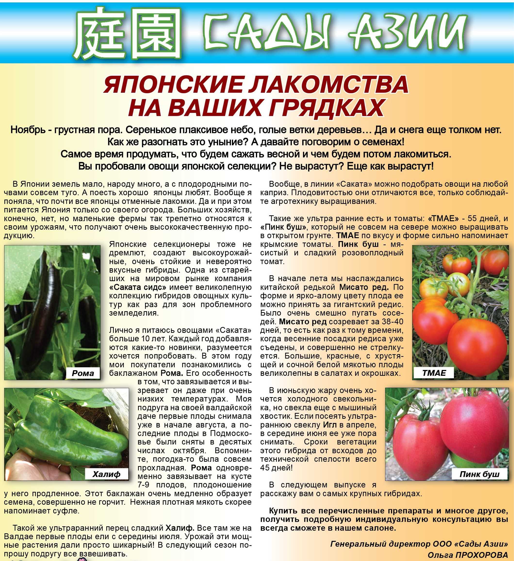 Что представляет собой томат пинк парадайз, каковы аспекты его выращивания?