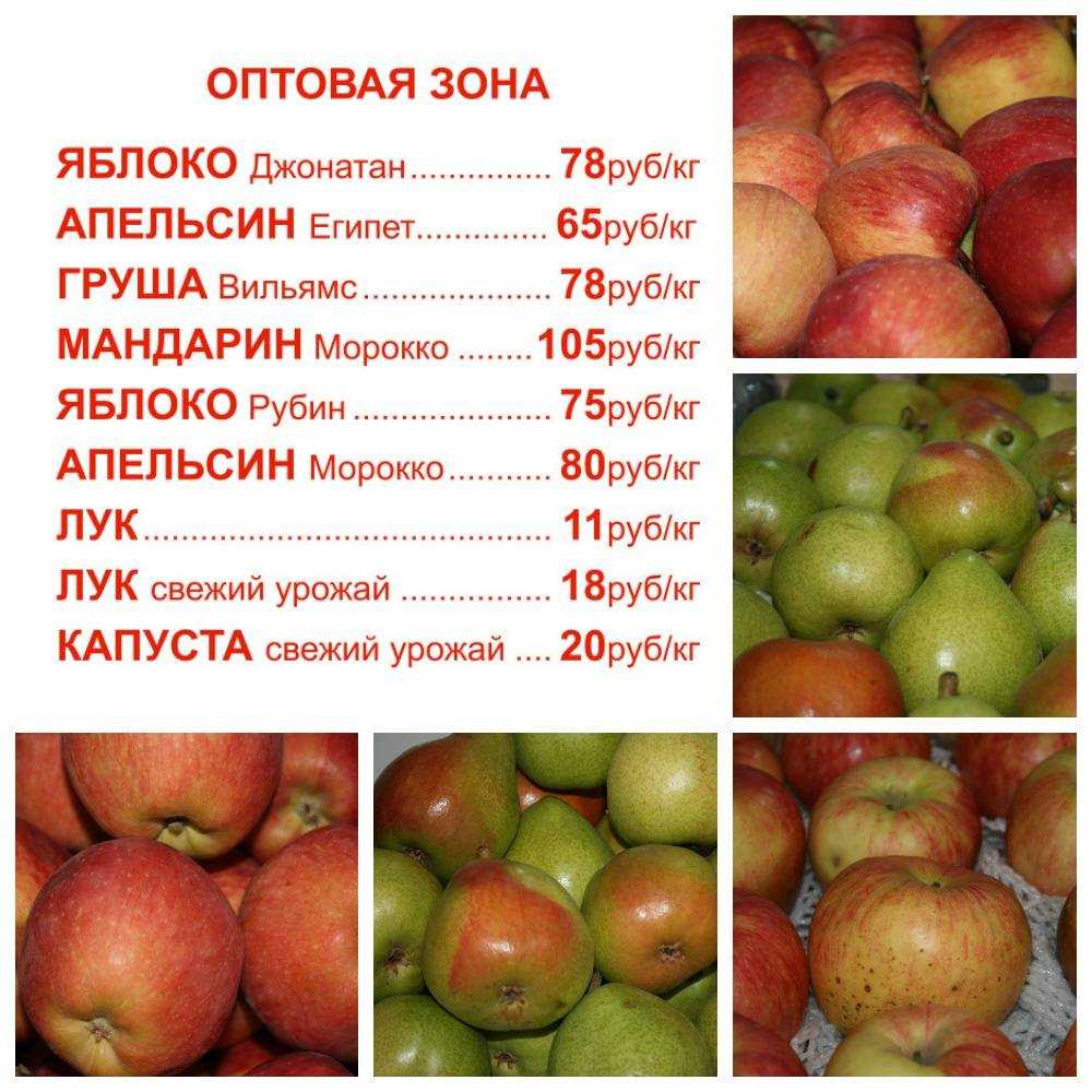 О яблоне Джонатан: описание сорта, характеристики, агротехника, выращивание