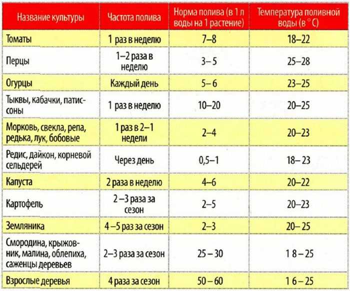 Как и чем поливать рассаду помидор в домашних условиях - как часто и сколько воды