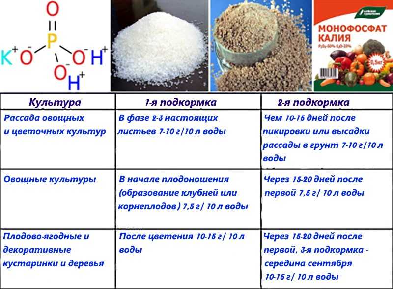 Виды калийных удобрений для огурцов, нормы их применения