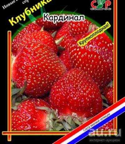 Клубника кардинал: описание сорта, фото, отзывы, особенности