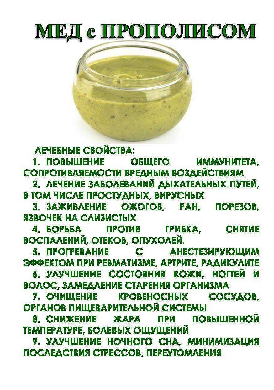 Прополисное масло – средство от язвы желудка. обсуждение на liveinternet