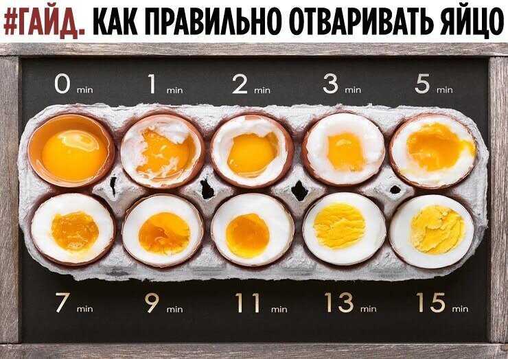 Страусиное яйцо: ценный пищевой продукт или необязательный деликатес