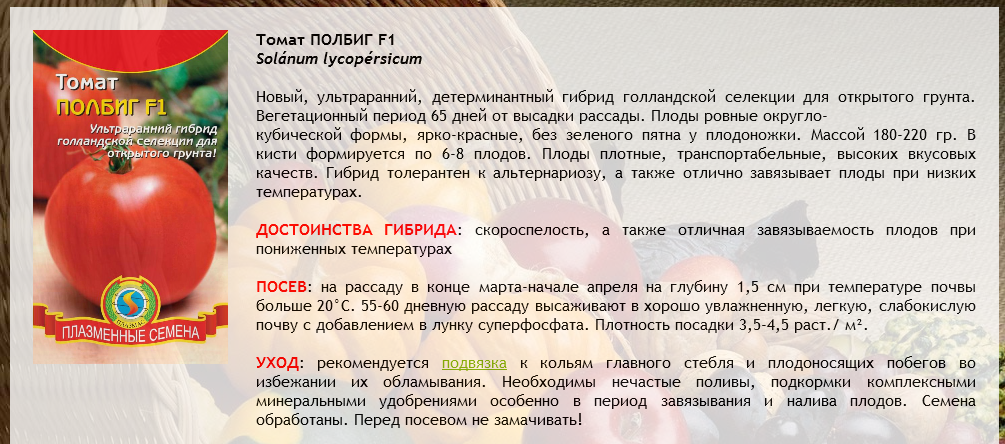 Томат полбиг f1: описание сорта, характеристики, отзывы