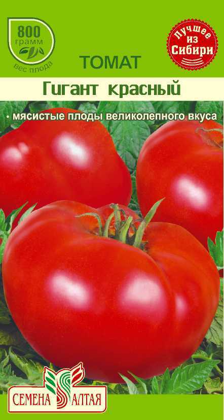 Необычайно вкусный томат «король гигантов»: характеристика и описание сорта, фото