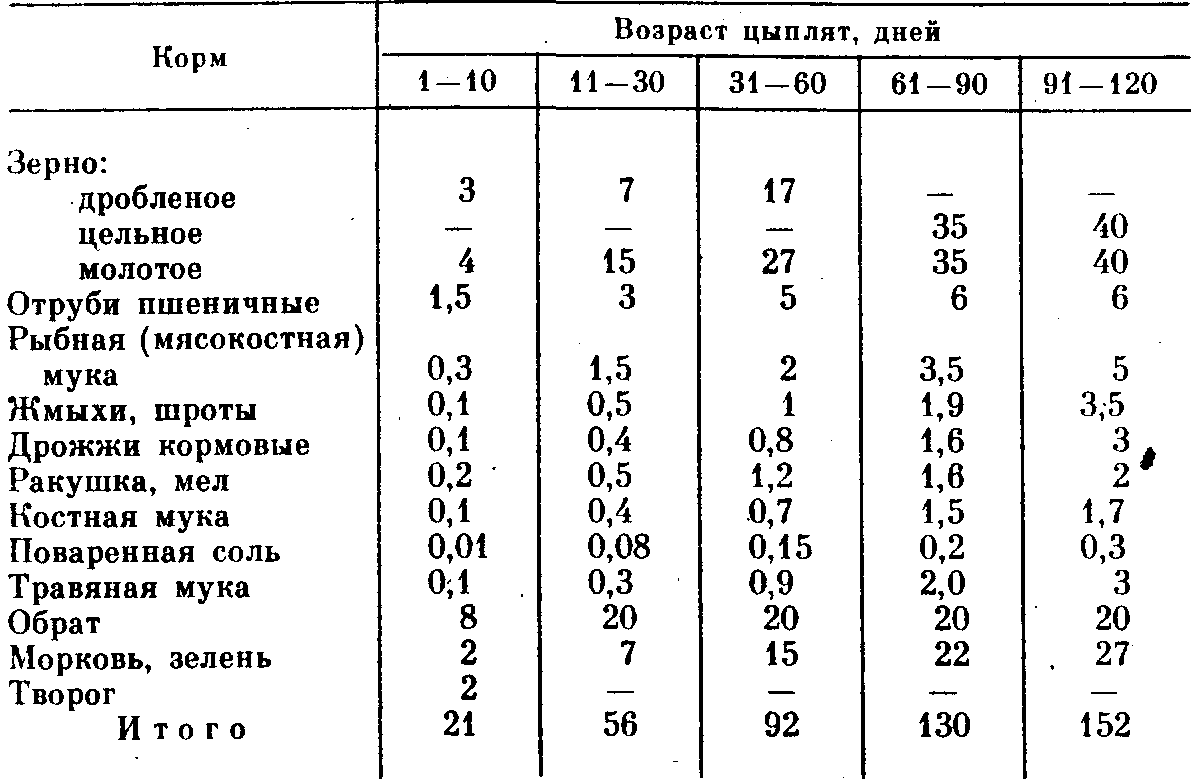 Кормление цыплят бройлеров, уход за ними в домашних условиях и болезни от неправильного рациона, особенности питания породы в разном возрасте selo.guru — интернет портал о сельском хозяйстве