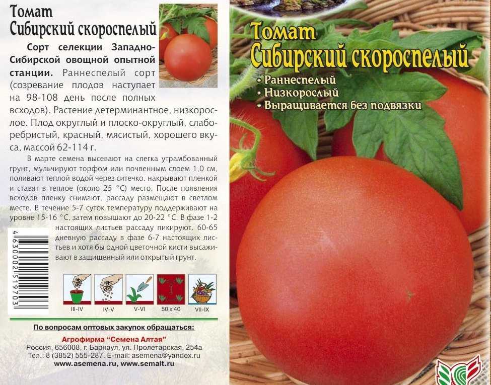 Томат чудо земли: описание и характеристики сорта, выращивание и урожайность с фото