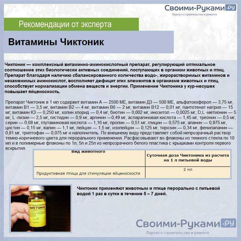 Гамматоник для цыплят: инструкция по использованию - содержание и выращивание животных от а до я