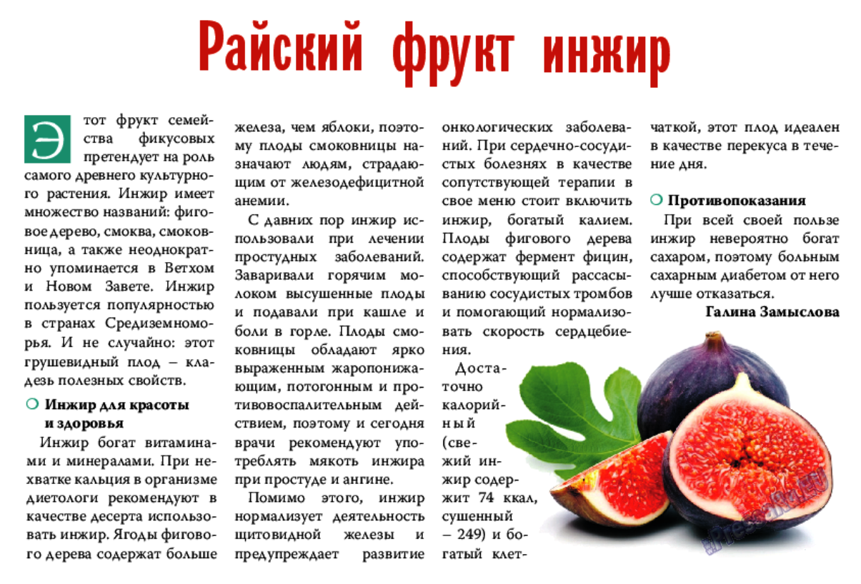 Кивано – зеленый дракон из алтайских семян
