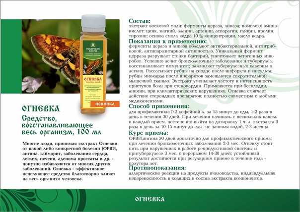 Польза пчелиной огневки: приготовление настойки